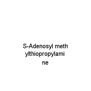S-Adenosyl methylthiopropylamine